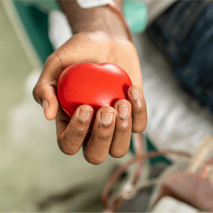 ARDP Hand Image Resize